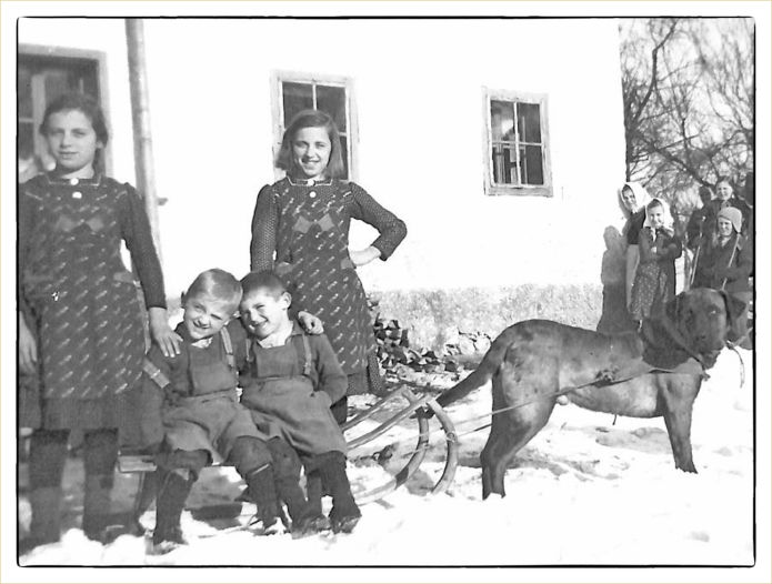 Das Archiv-Team im Kulturdorf Seeham: alte Ansichten